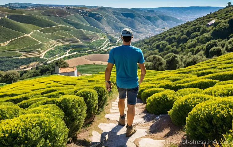 스트레스 해소를 위한 취미와 여가 시간 - **Vibrant Portuguese Adventure: Hiking and Urban Greenery**
"A bright, wide-angle image capturin...